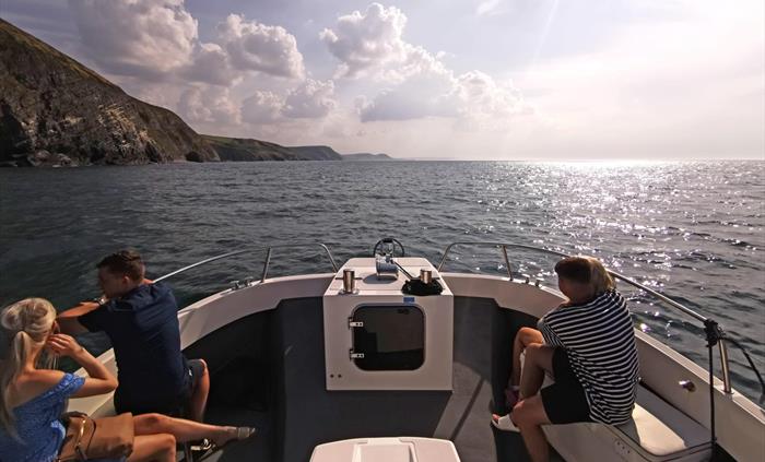 Dolphin Spotting Boat Trips